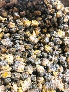 干菊花