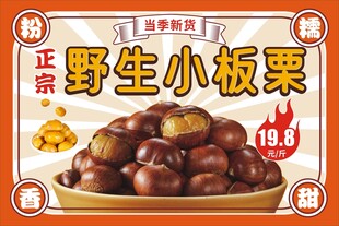 野生小板栗