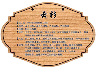 树木牌