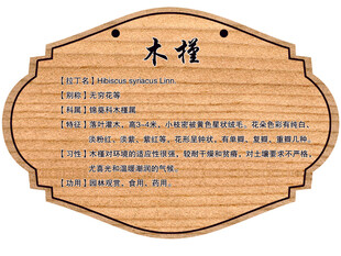 树木牌