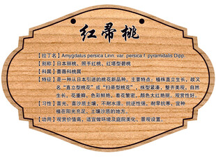 树木牌
