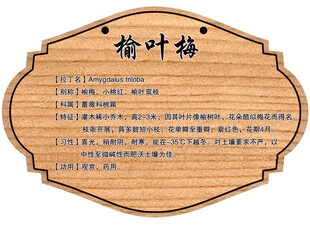 树木牌