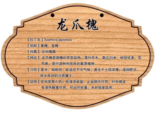 树木牌