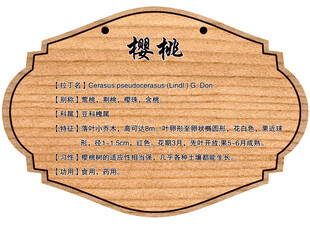 树木牌