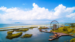 太湖湖滨湿地