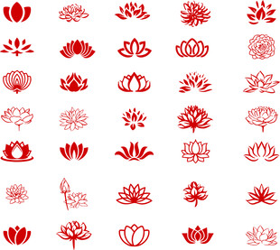 莲花