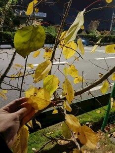 触摸