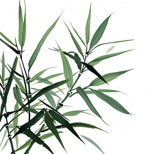 竹叶