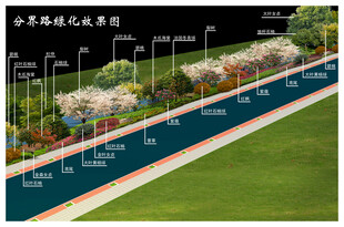 道路绿化