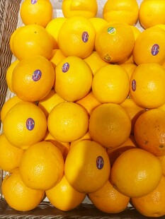 橙子