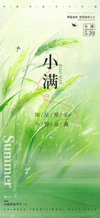 小满