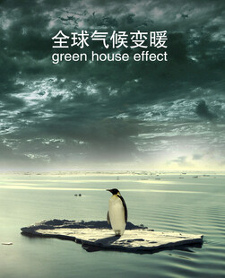 南极企鹅 