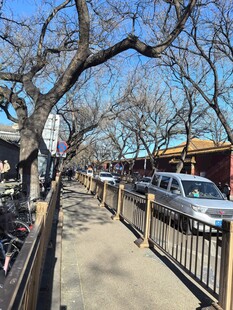 老北京胡同