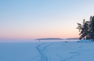 冬日午后黄昏雪地风光