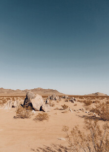荒芜戈壁沙滩植物