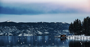 加利福尼亚州冬季