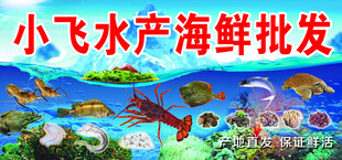 水产海鲜批发