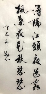 浔阳江头夜送客