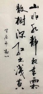 山明水净夜来霜