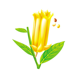 芝麻插画