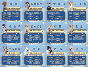  狗  狗简介  雪娜 阿拉斯