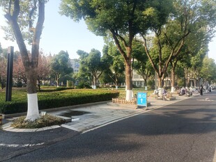 校园风景