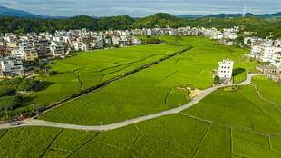 美丽田园