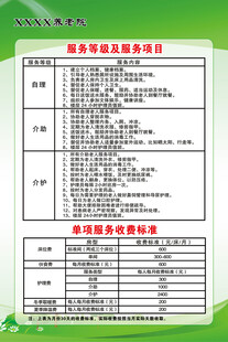 养老院 服务等级服务项目