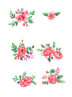 植物花