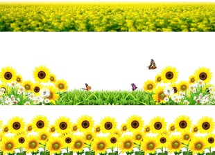 免扣花草