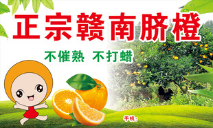 赣南脐橙
