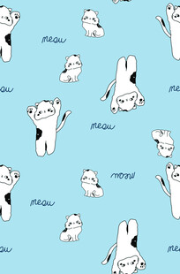 猫咪