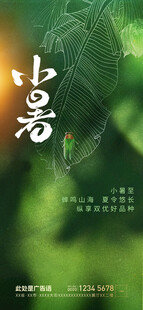 小暑节气