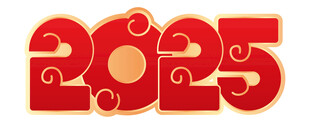 2025蛇年数字设计