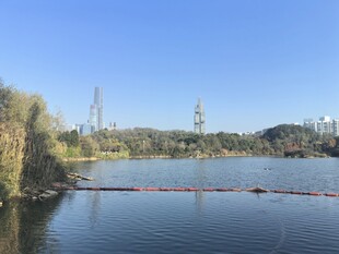 观山湖公园