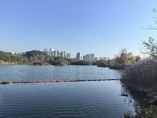 观山湖公园
