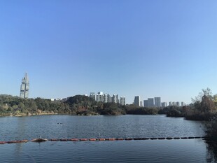 观山湖公园