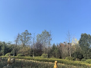 观山湖公园