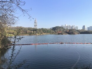 观山湖公园