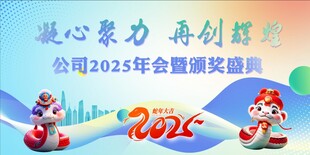  2025年年会背景