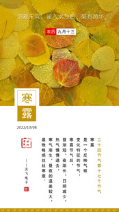 二十四节气 17 寒露