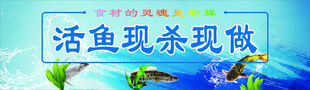 鱼海报