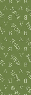 字母