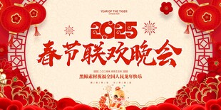 春节联欢晚会 