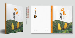 图书封面设计模板