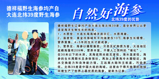 海参
