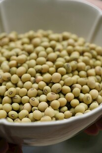黄豆