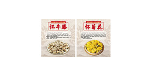 怀牛膝  怀菊花  怀药