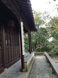 虎丘