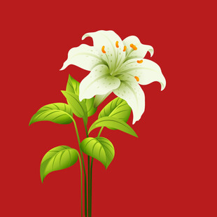 手绘百合花